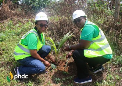 Make Ghana Green Agenda: PHDC Plants 300 Trees at Annor Adjaye SHS and Project Office in Jomoro